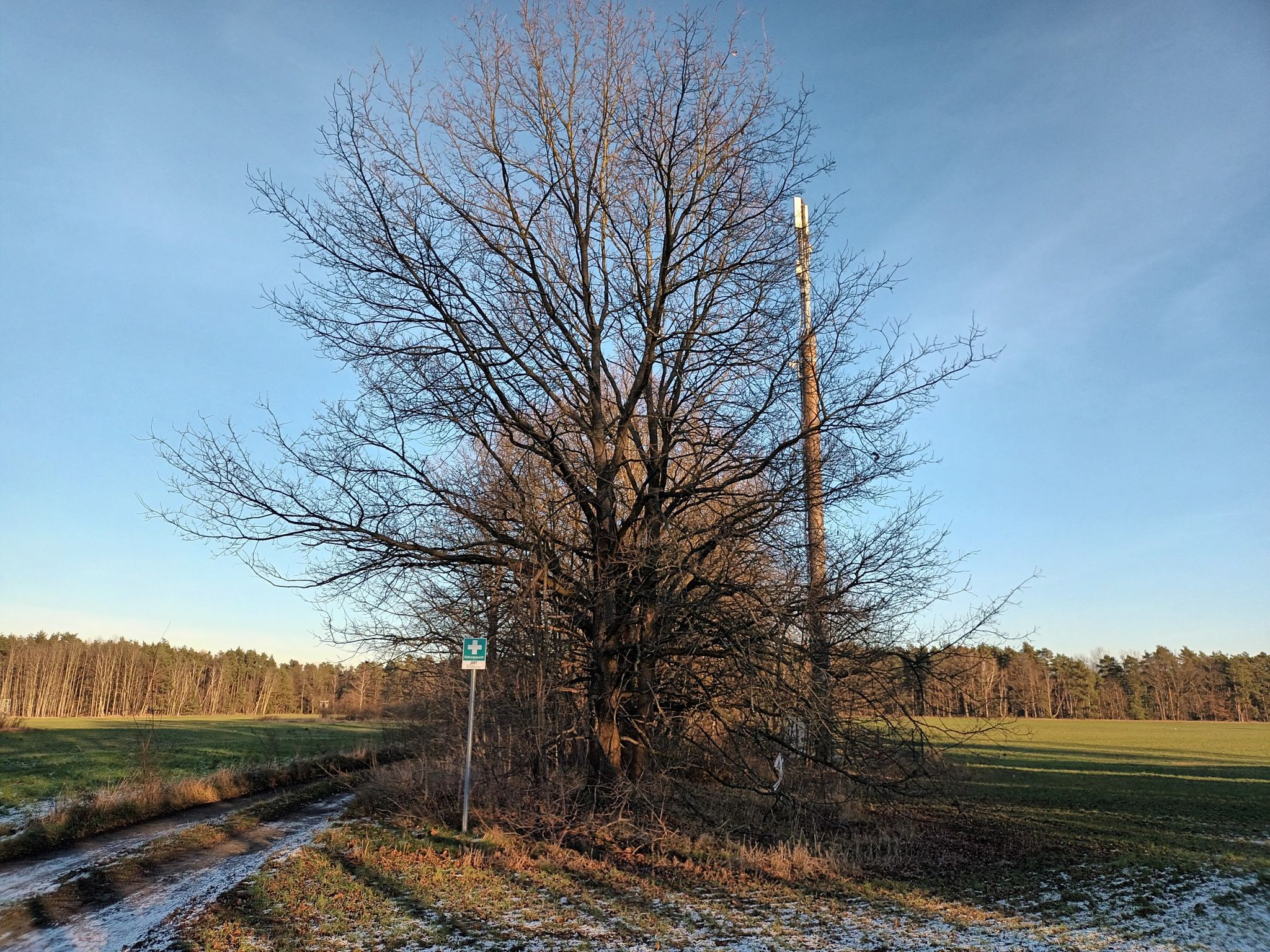 Jerischker Weg in Tschernitz