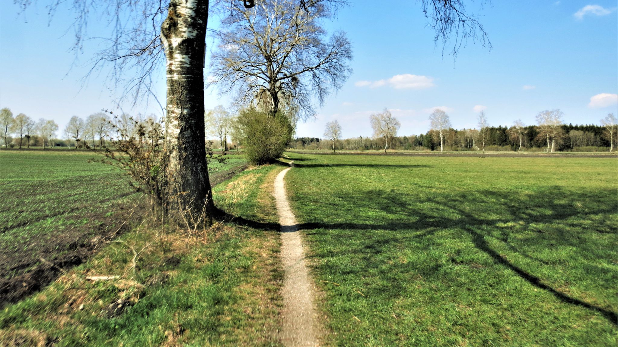 Vom Semtweiher nach Markt Schwaben