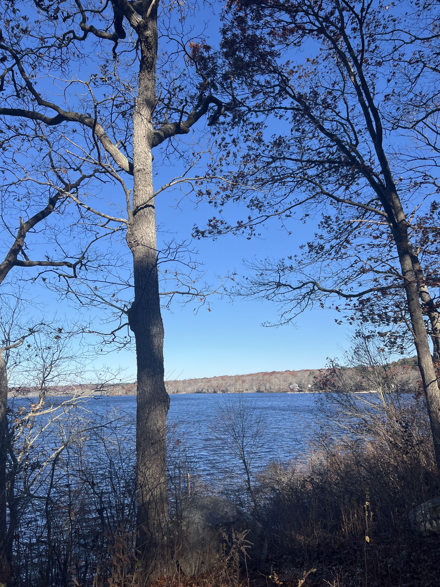 Tall trees frame a calm lake under a bright blue sky. - Warwick to Watchaug Pond loop via South County Trail