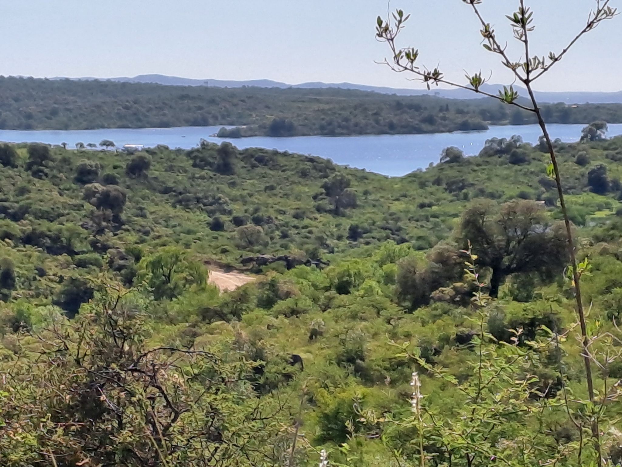 Lago Cerro Pelado