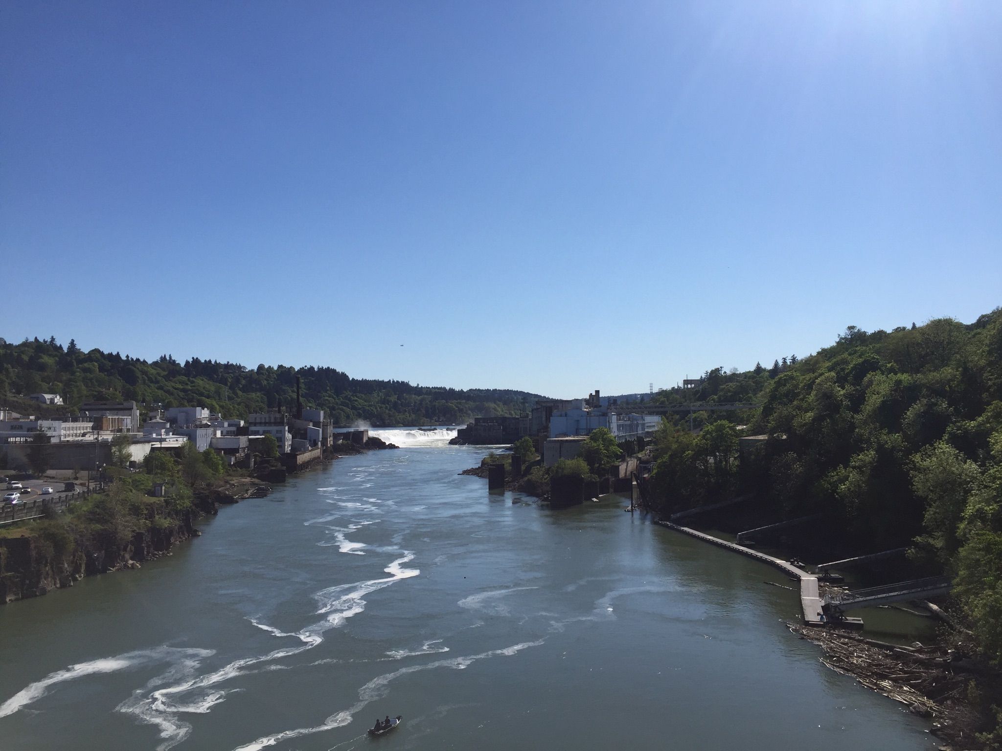 Wide river with rapids, forested banks, and distant buildings under bright sun. - Willamette Greenway and Trolley Trail Loop