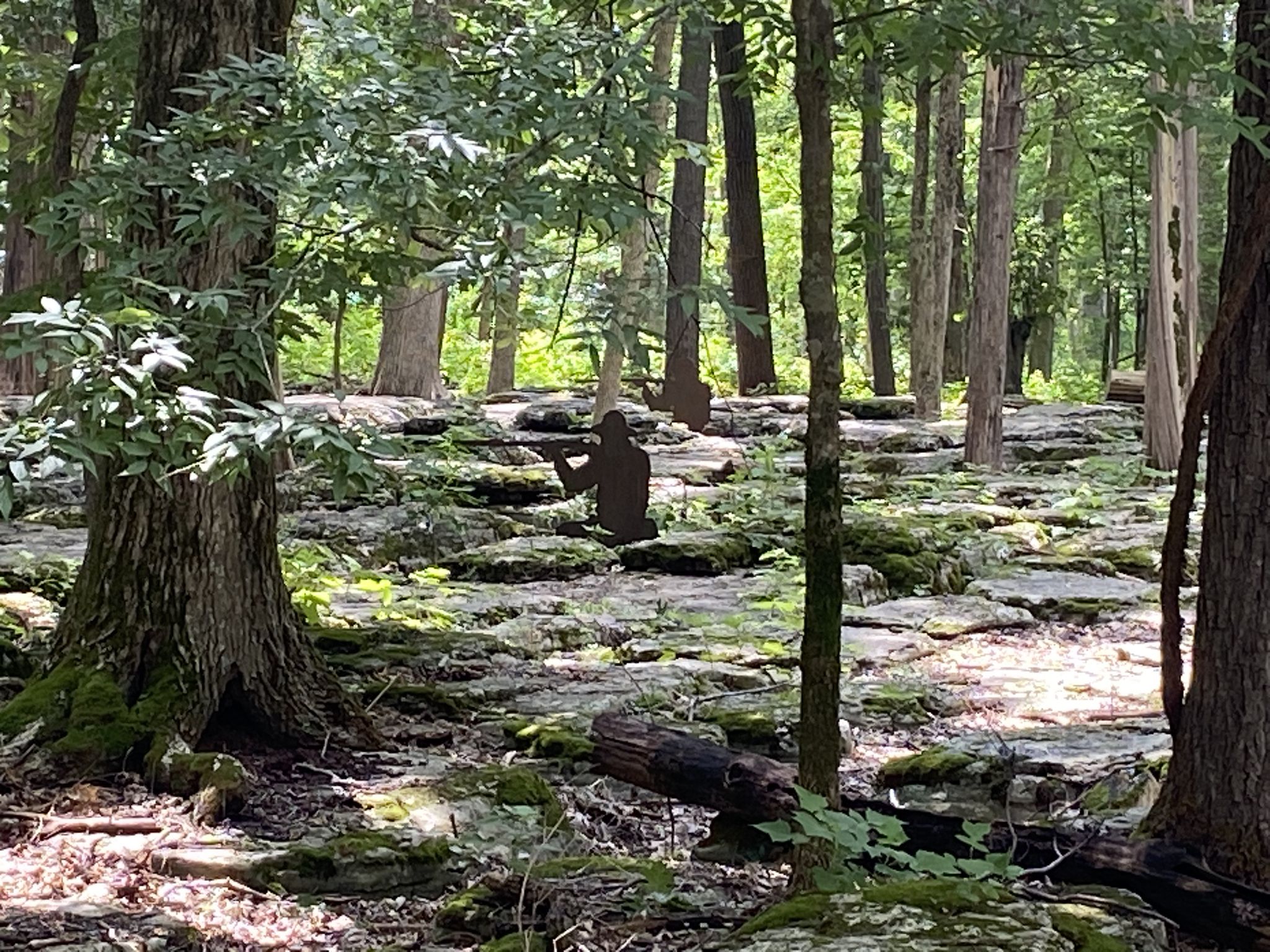 Wooded landscape with rocky ground and a dark silhouette of a person. - Boundary Trail