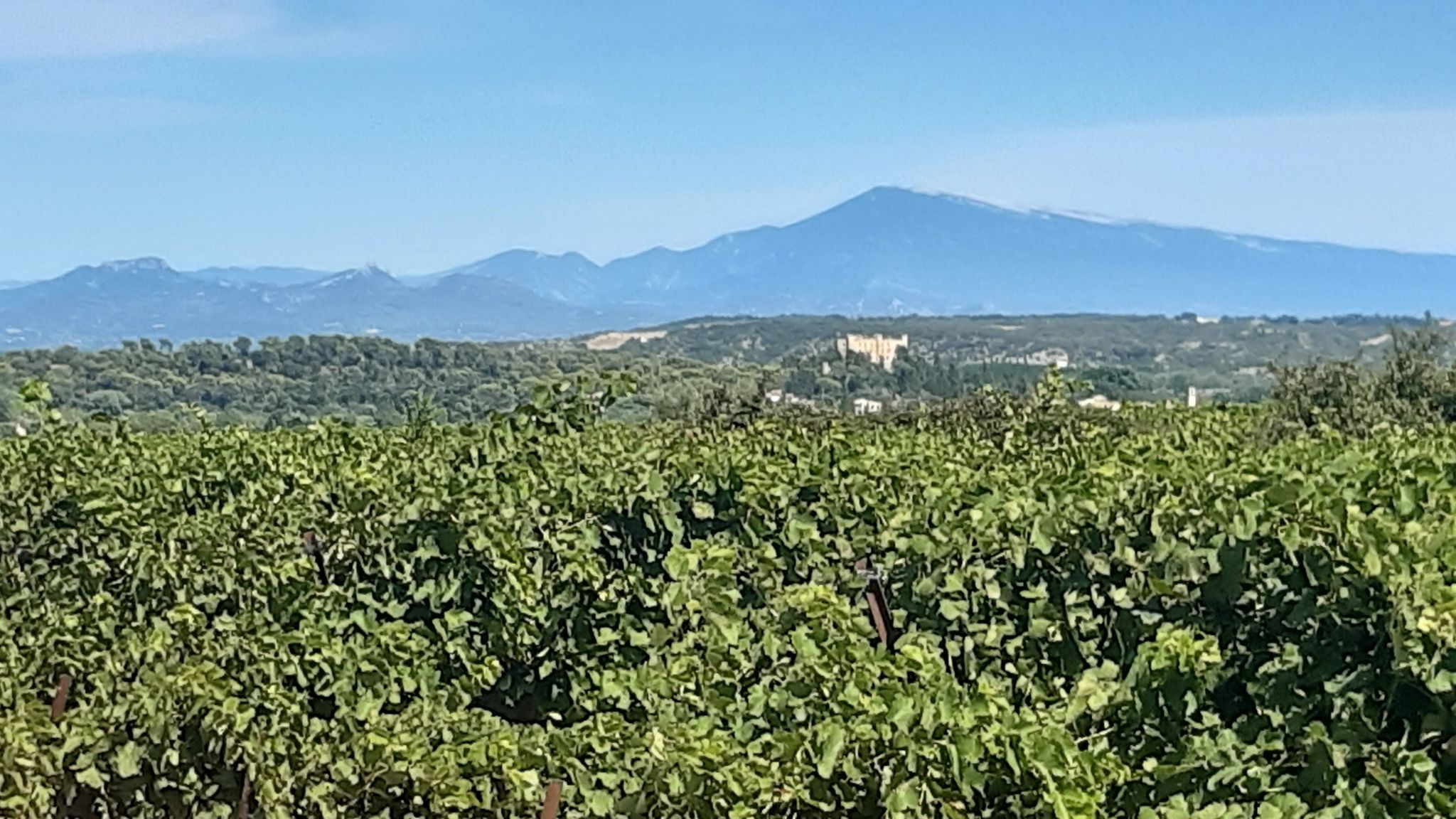 Château et Ventoix