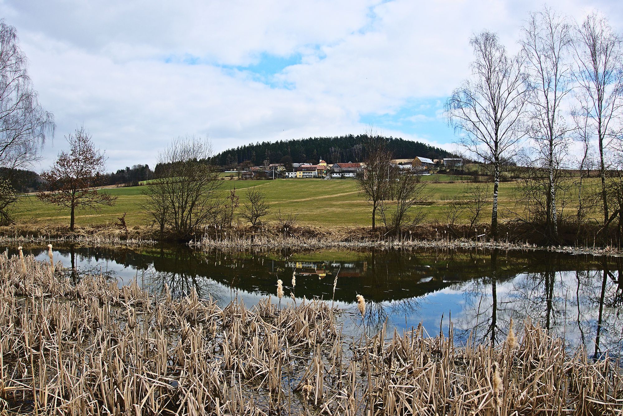 Blick auf Woppenrieth (Markt Waldthurn)