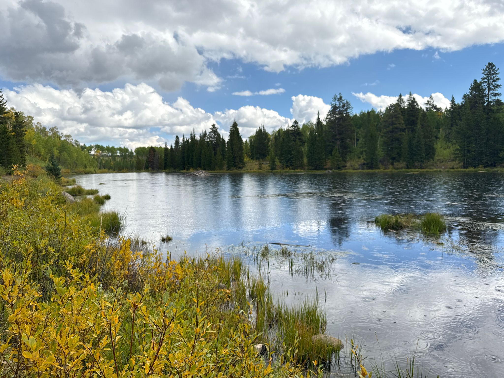 A calm lake reflecting a cloudy sky, surrounded by green and yellow foliage. - Beach access – Mount Elbert Trailhead loop from Mount Elbert Forebay