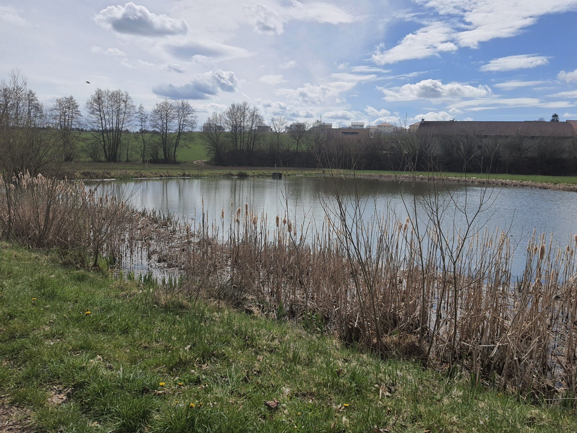 Weiher Milmersdorf