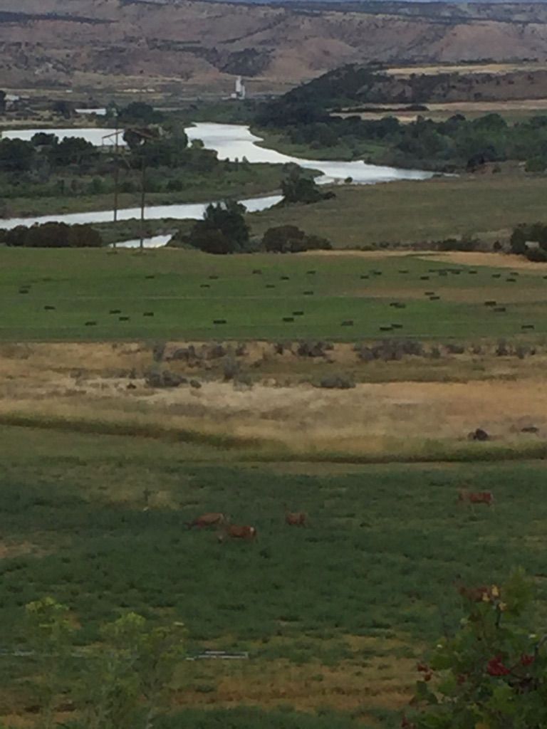 A winding river flows through green fields with distant hills under soft light. - Rifle to Parachute loop