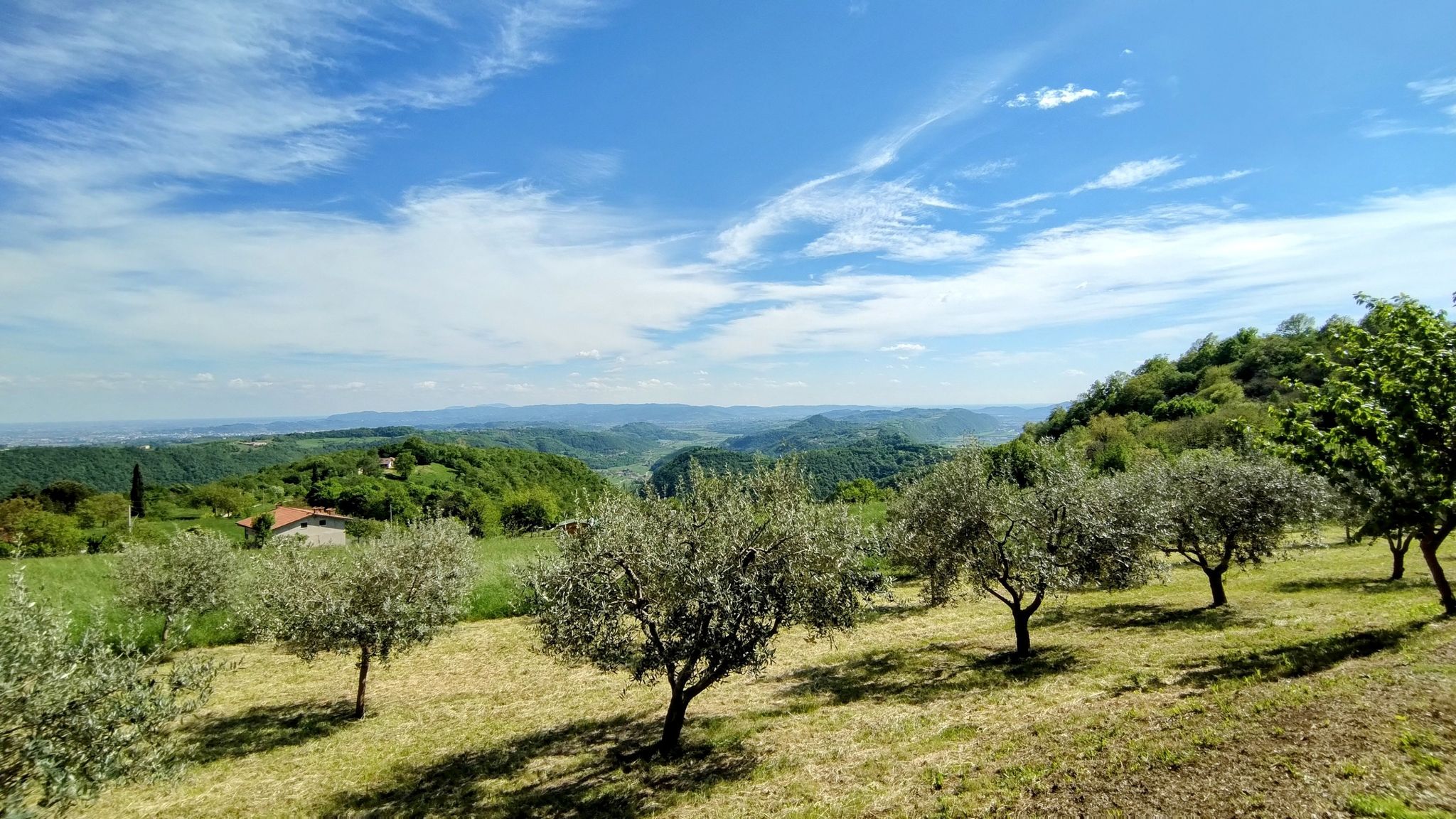 le ultime prealpi e in fondo i Berici