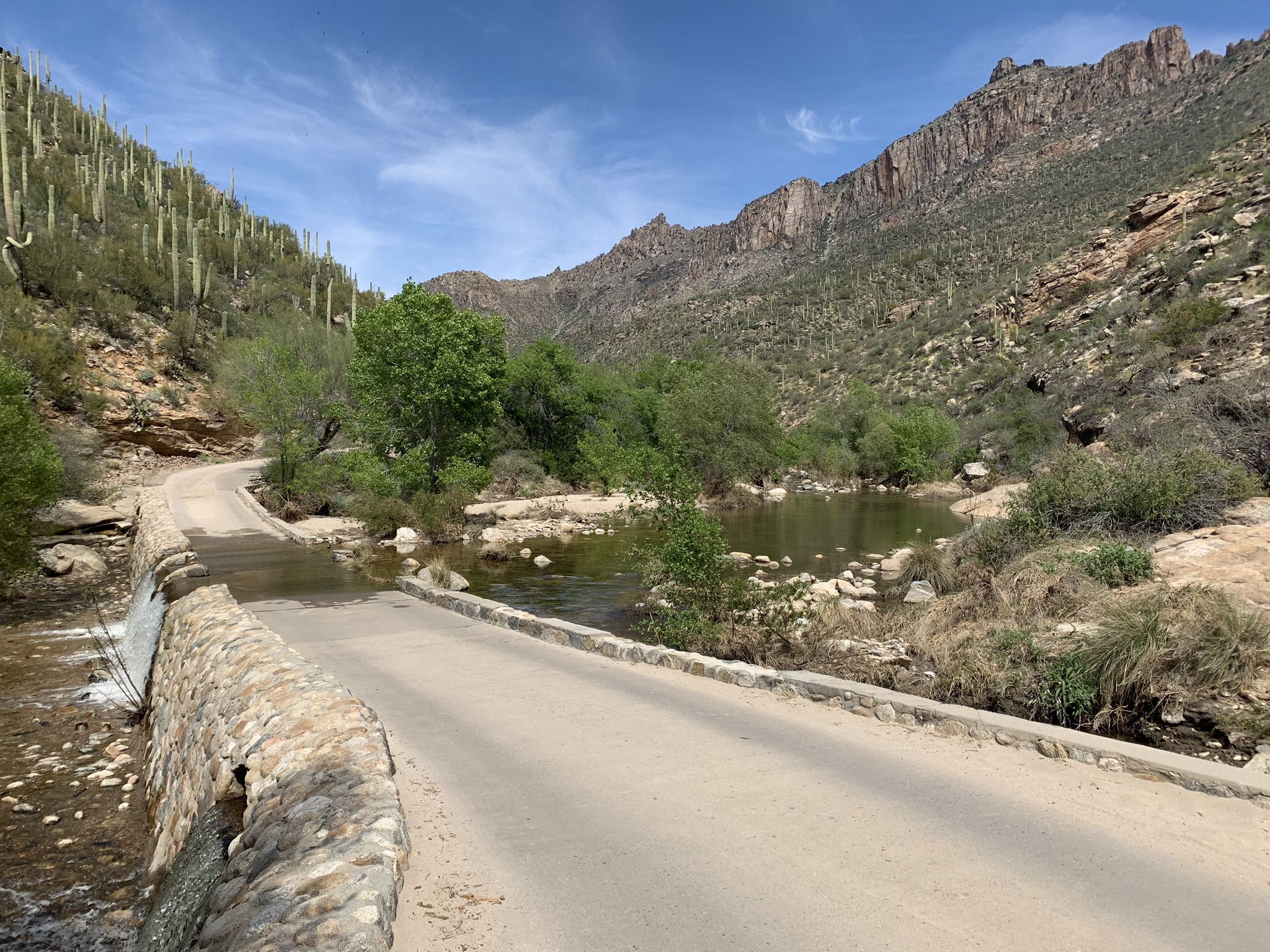 Road crossing a flowing river in a desert canyon with green trees. - Sabino Tram Road