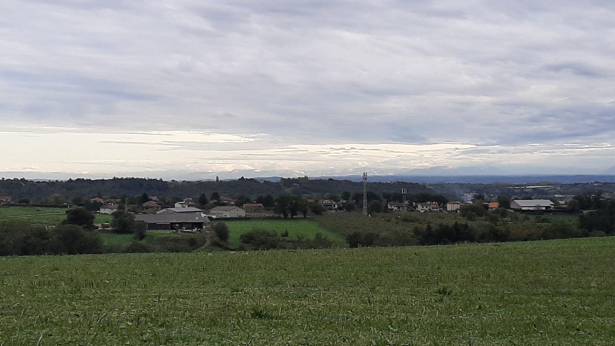 Retour Chaponost