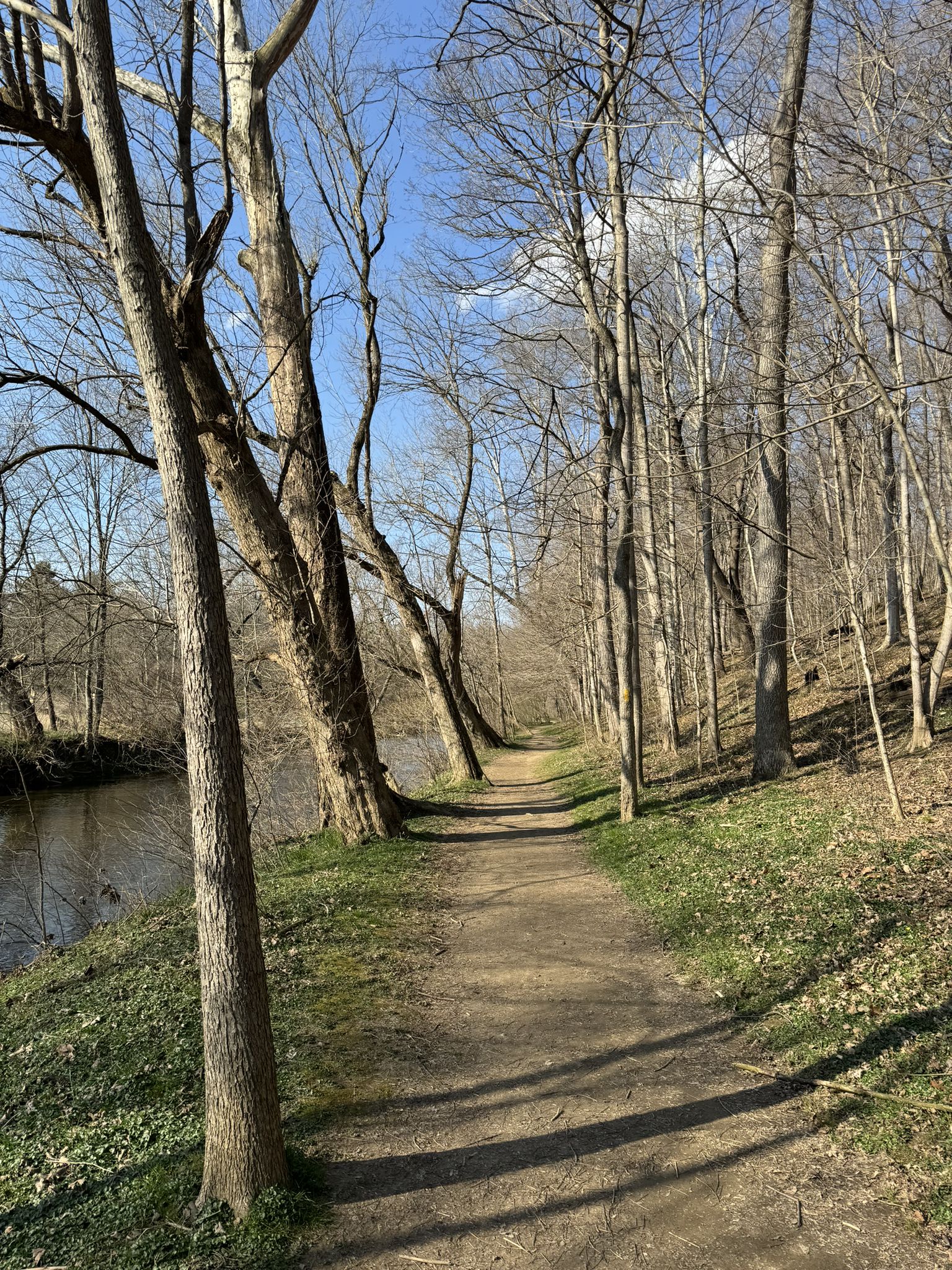 A sunlit dirt path winds through bare trees beside a calm river. - Lancaster County Central Park Conestoga Loop