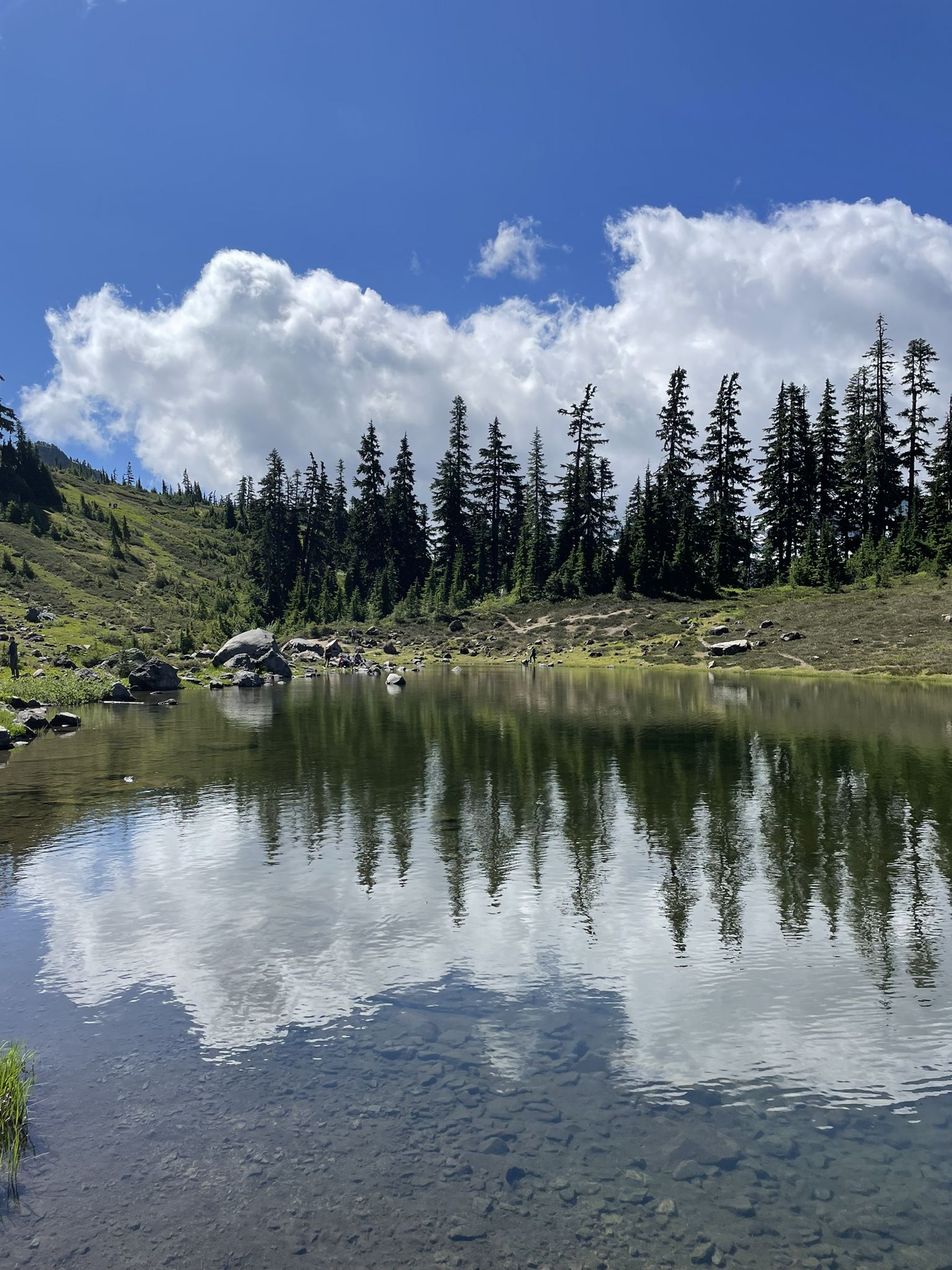 Clear mountain lake reflecting white clouds and evergreen trees on a sunny day. - Table Mountain Trail