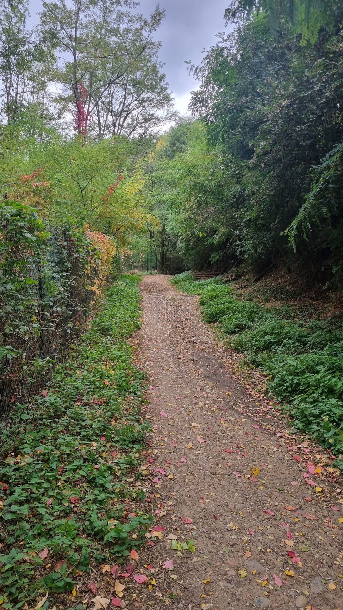 nice trail