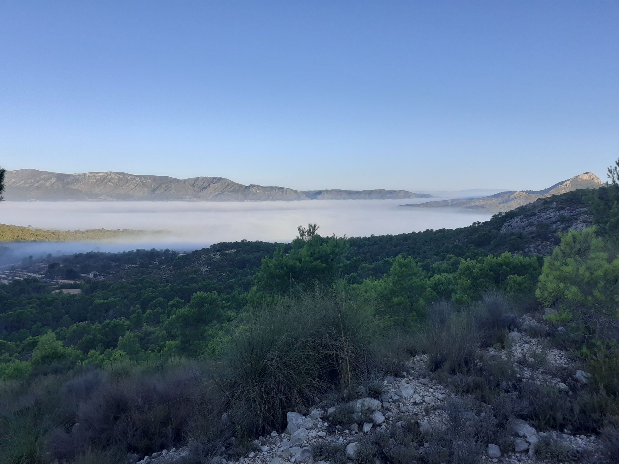 niebla sobre la Sierra de salinas