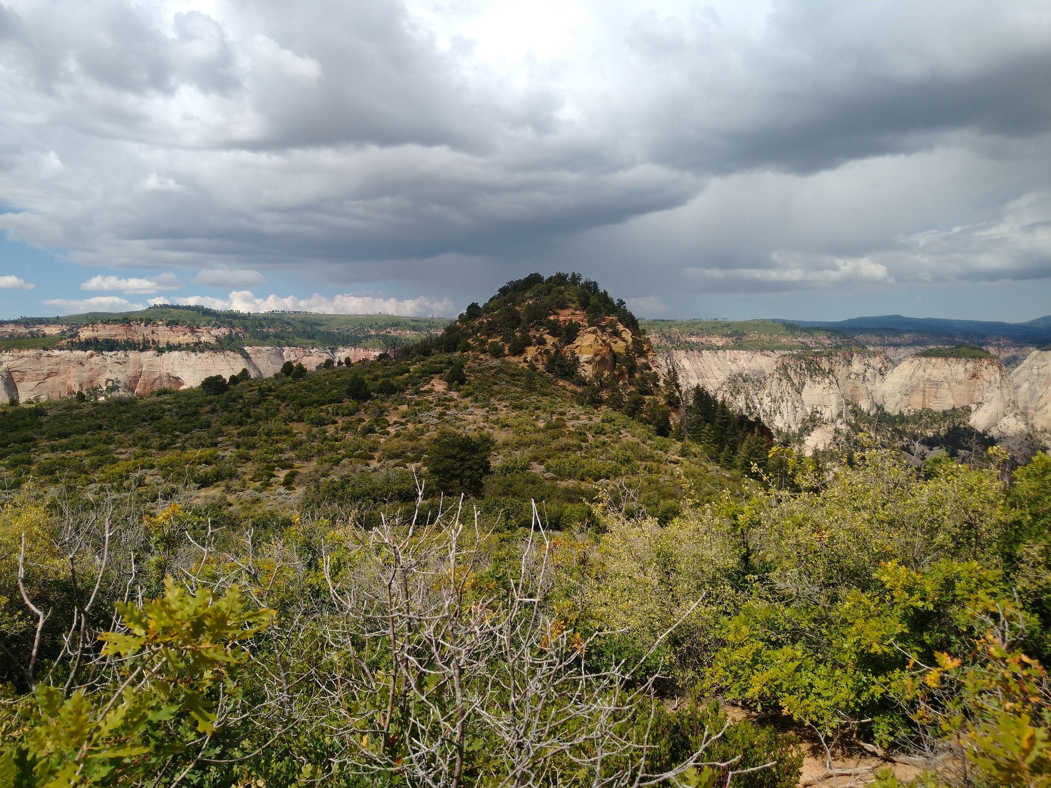 Rocky peak surrounded by green shrubs under a cloudy sky. - East Mesa Trail