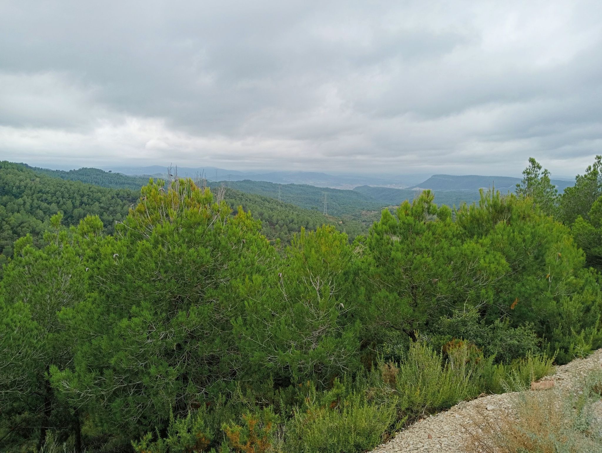 L'Anoia.