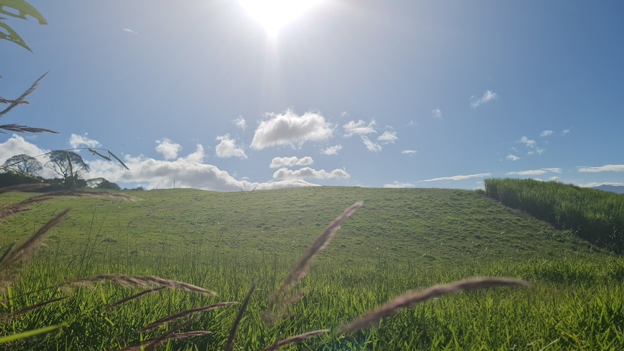 windows XP Tico