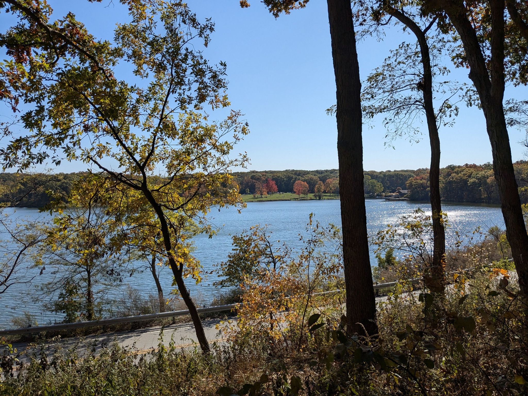 Sunny view of a lake framed by trees with autumn foliage. - Palos Trail System: Maple Lake Singletrack Loop