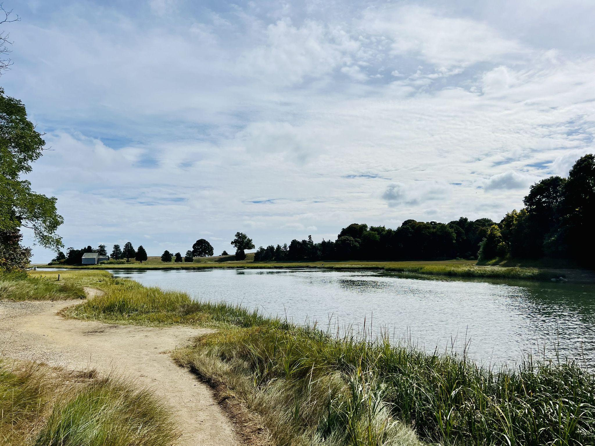 Calm water next to a grassy bank and distant trees under a cloudy sky. - Nauset Bicycle Trail