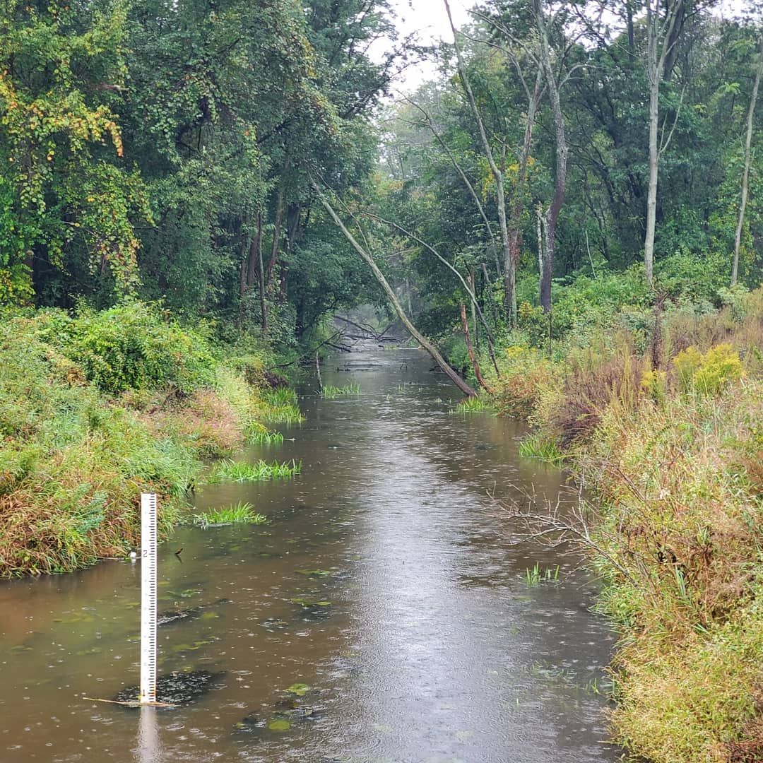 Narrow river flowing through dense green forest during rainy weather. - St. Paul Lutheran Church – Lake shores loop from Beverly Shores