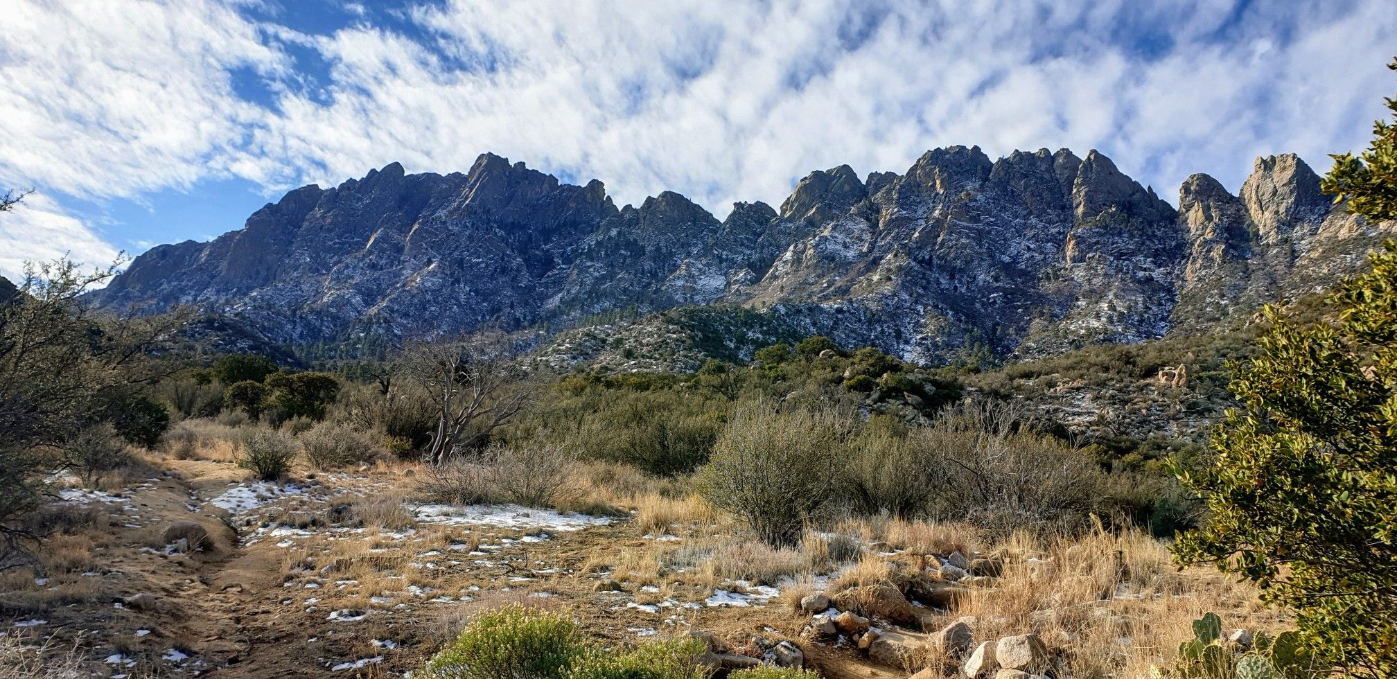 Rugged, snow-dusted mountains above a scrubby, snowy foreground under cloudy sky. - Indian Hollow and Pine Tree Loop Trail