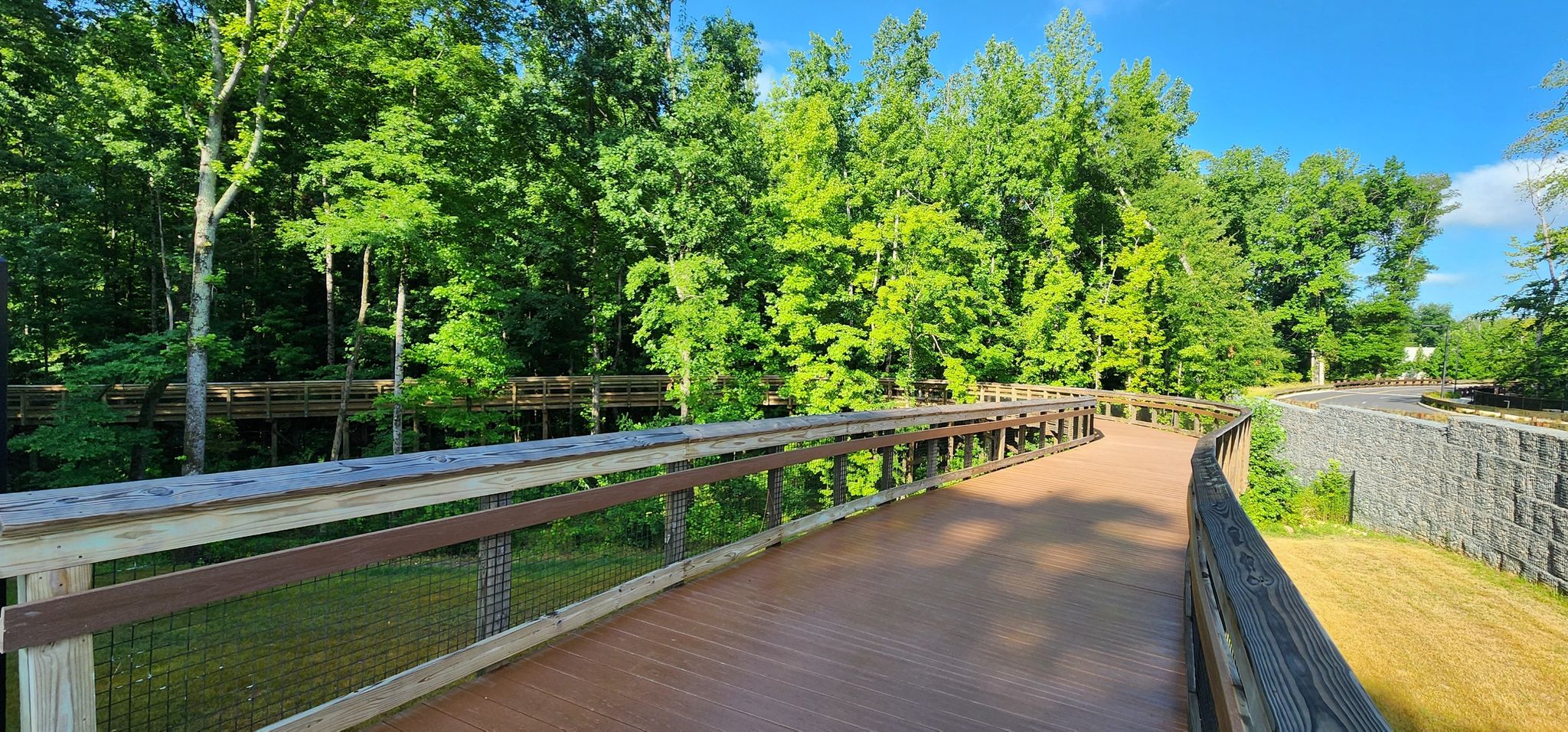 A winding wooden boardwalk path through dense green trees on a sunny day. - Mallard Creek Greenway