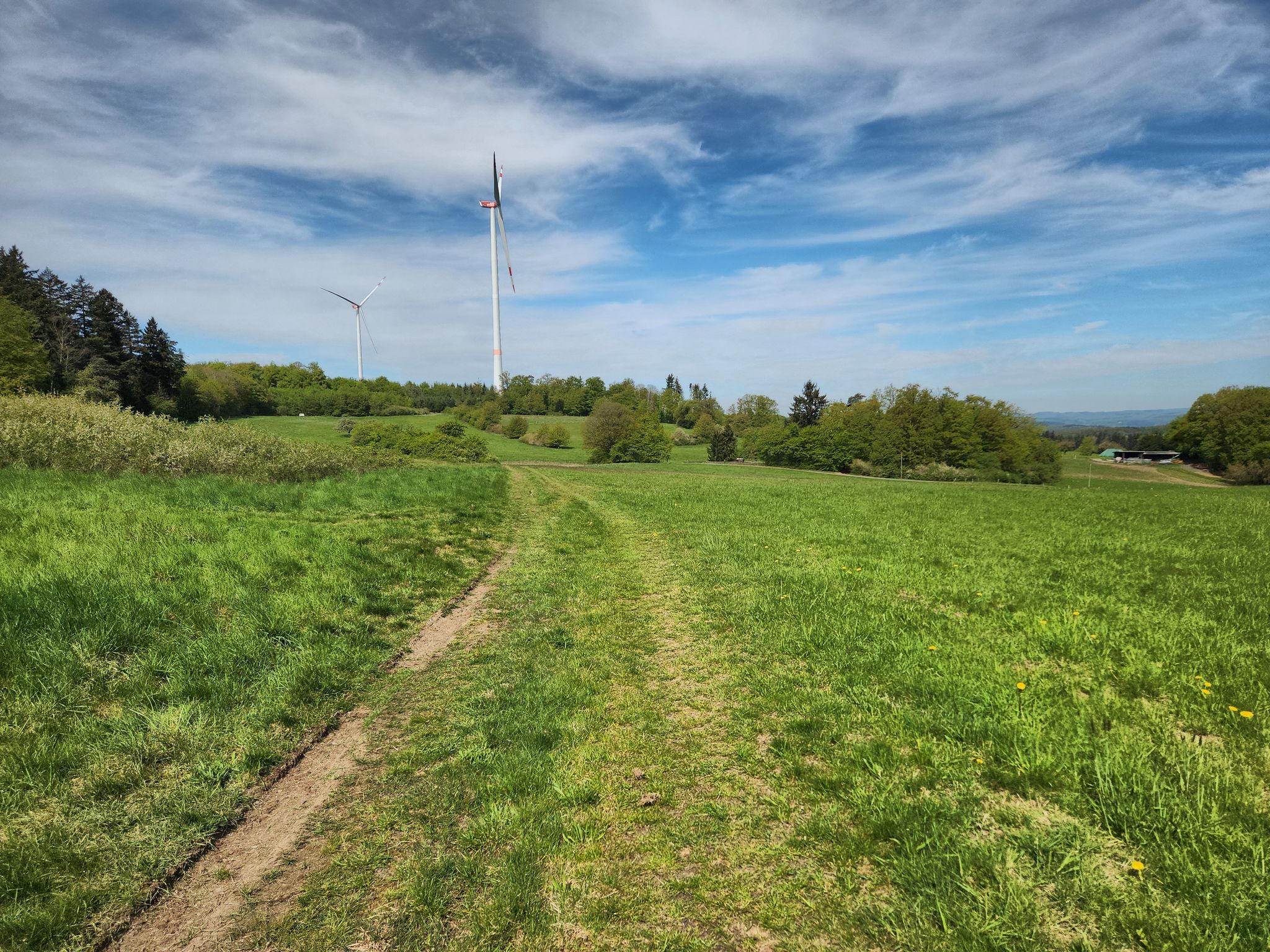Auch ein Stücke über die Wiese