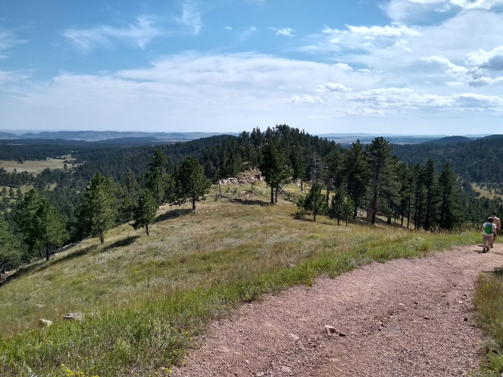 Two people walk on a dirt path on a sunny, forested hillside. - Rankin Ridge Trail