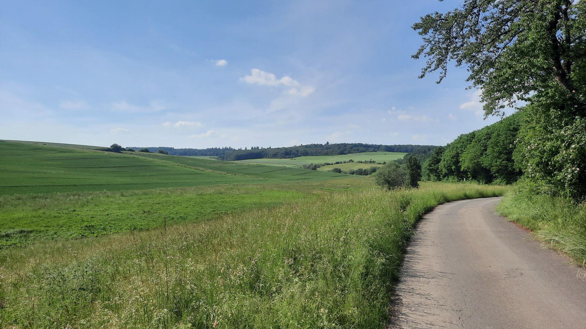 Blick ins Mennerkleebachtal
