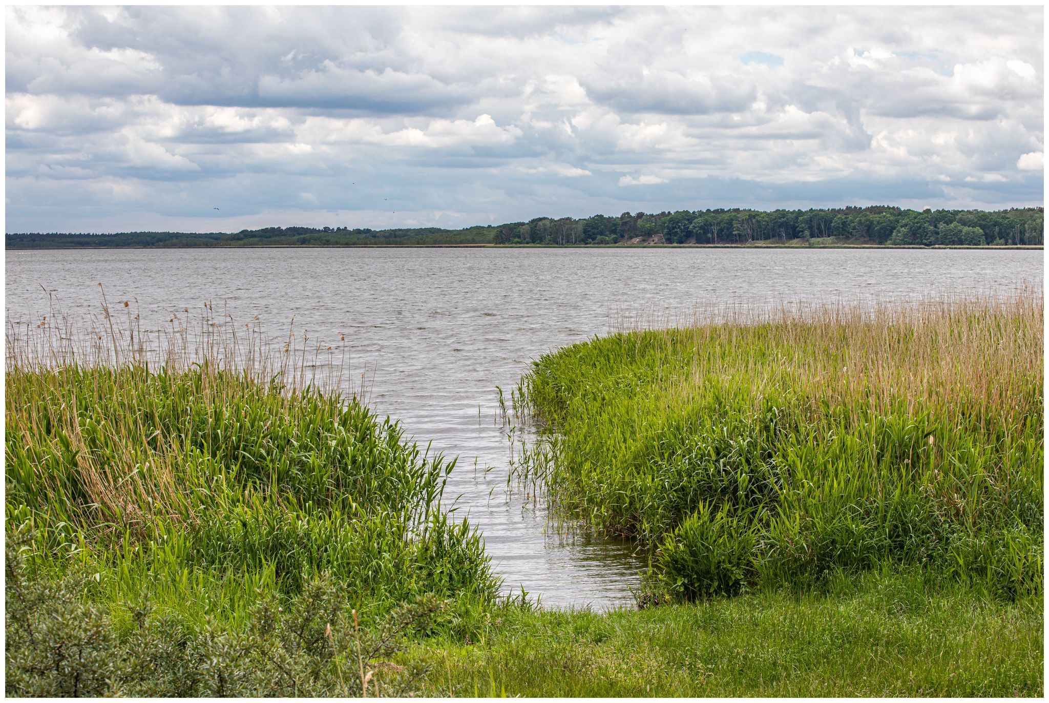 Neuwarper See