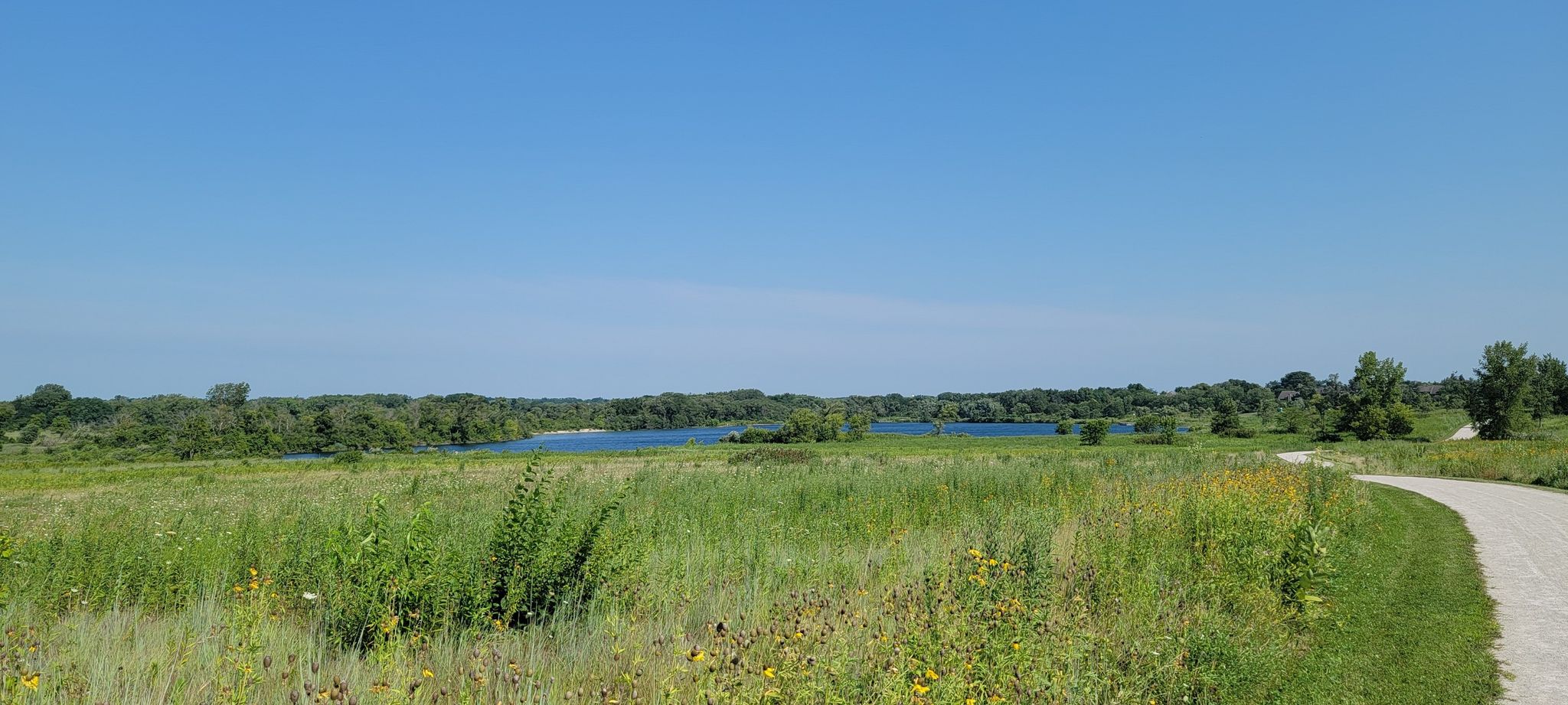 A wide grassy field with a distant lake under a clear blue sky. - West Branch and Hawk Hollow forest