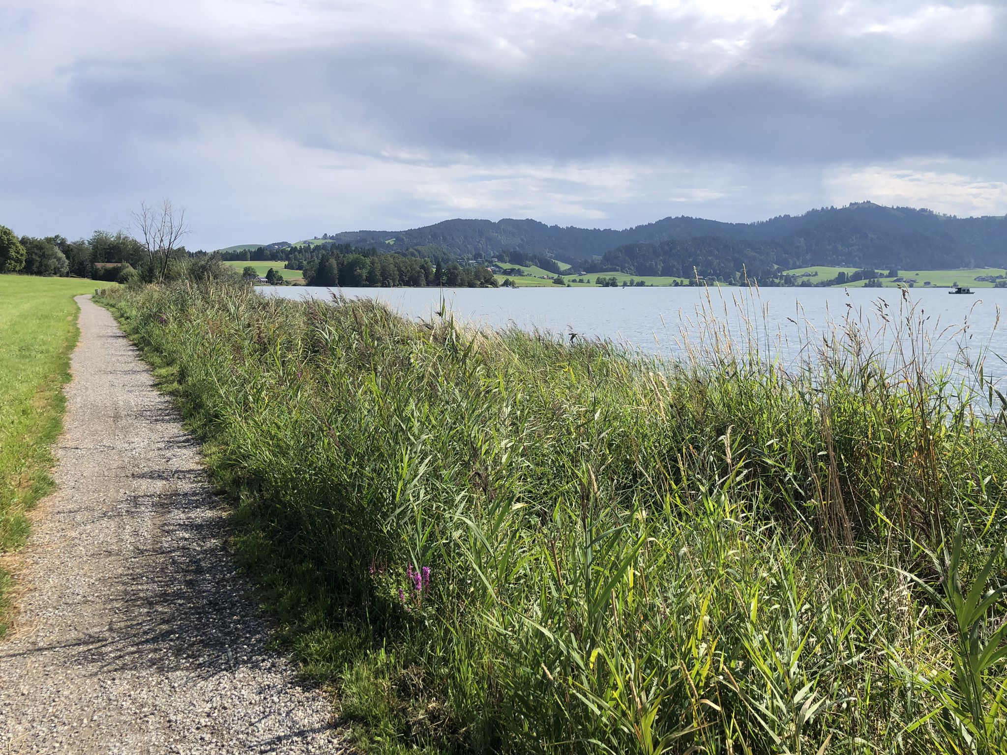 am Sihlsee entlang