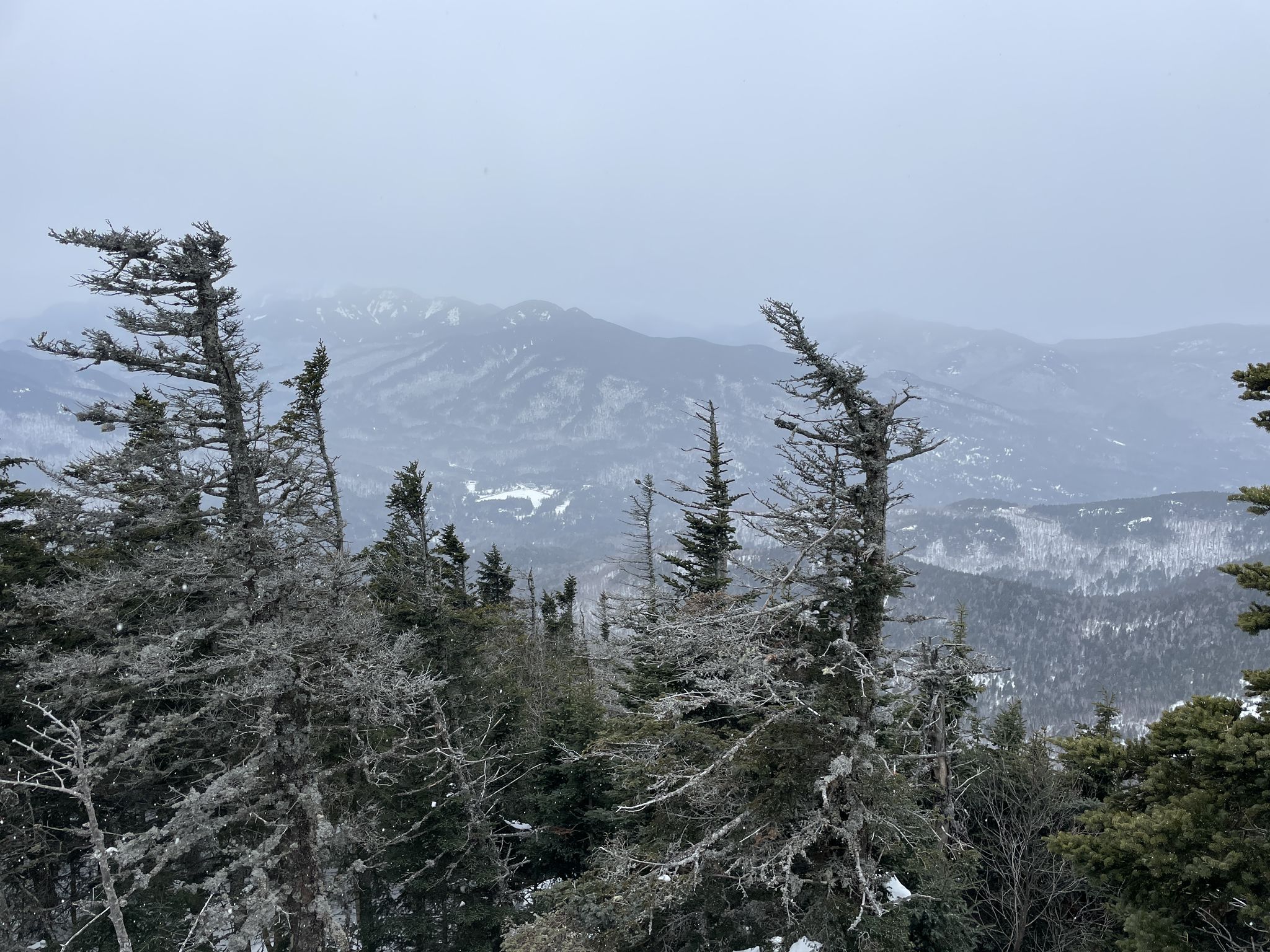 Snow-dusted evergreen trees frame hazy, distant mountains under an overcast sky. - Roaring Brook Trail