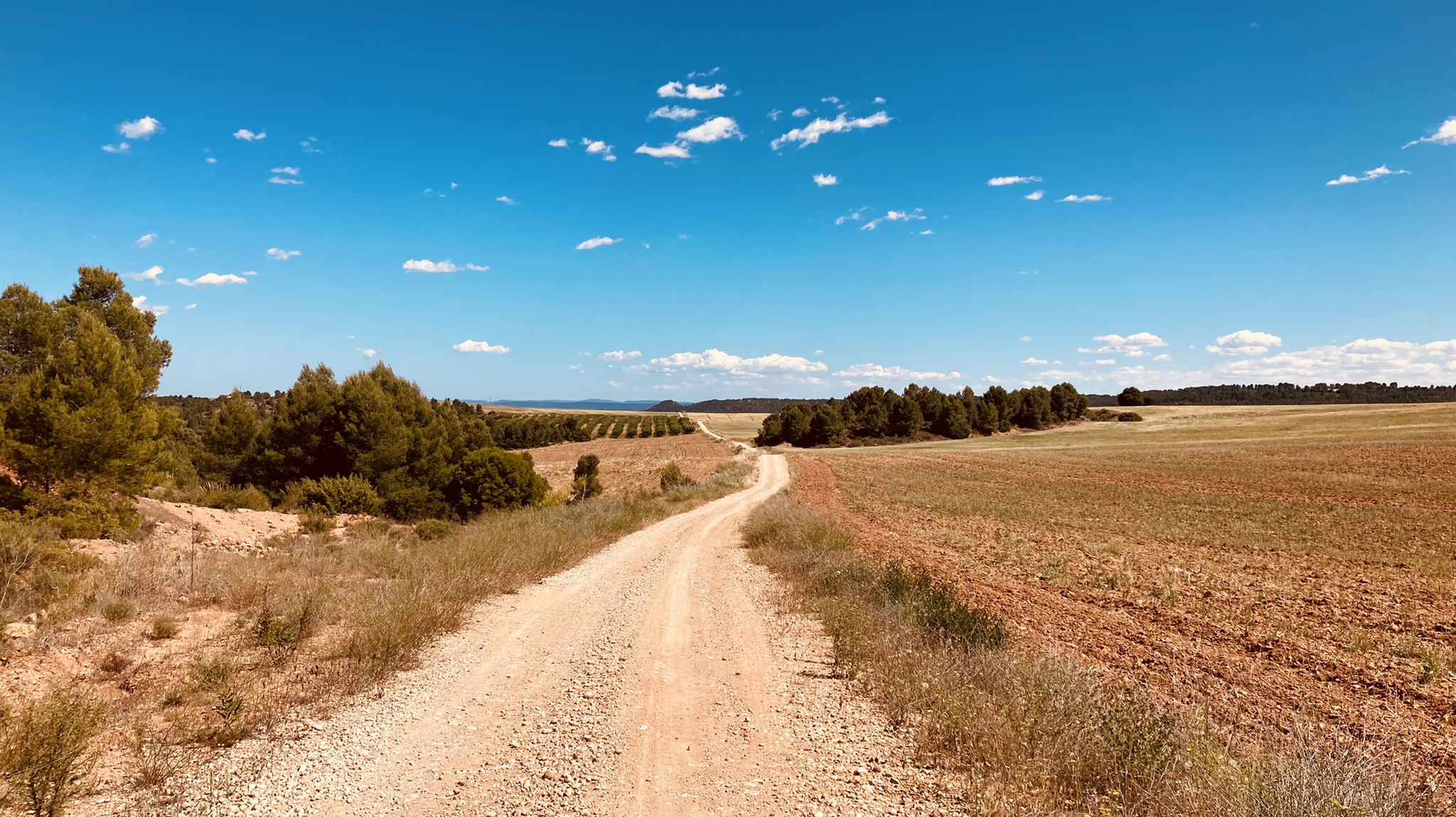 Picturesque gravel road - La Ensancha