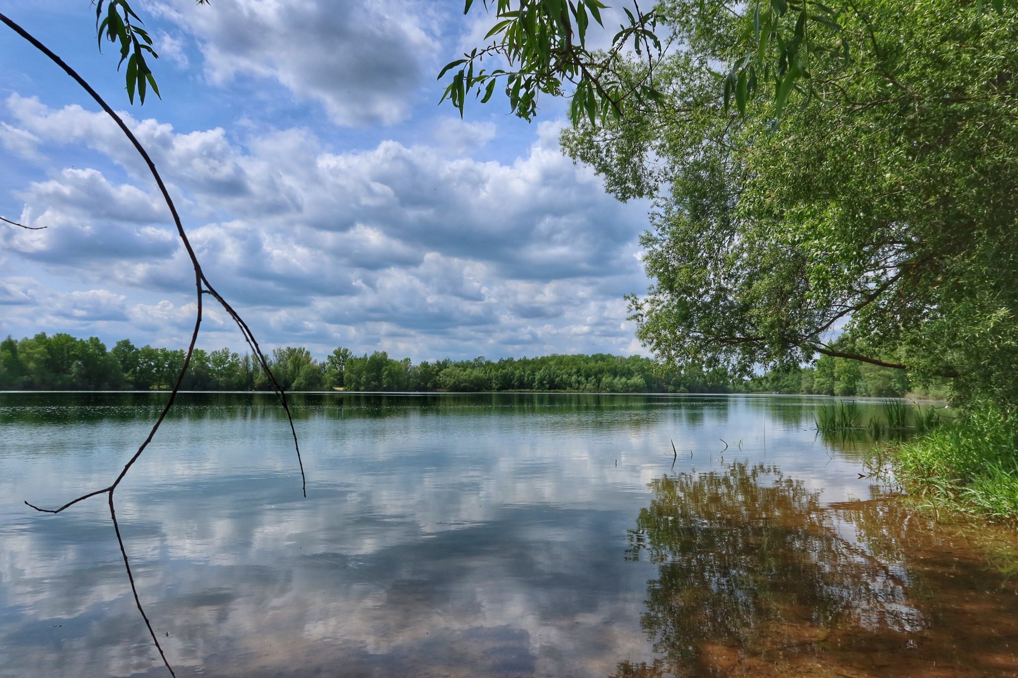 am Bielener See