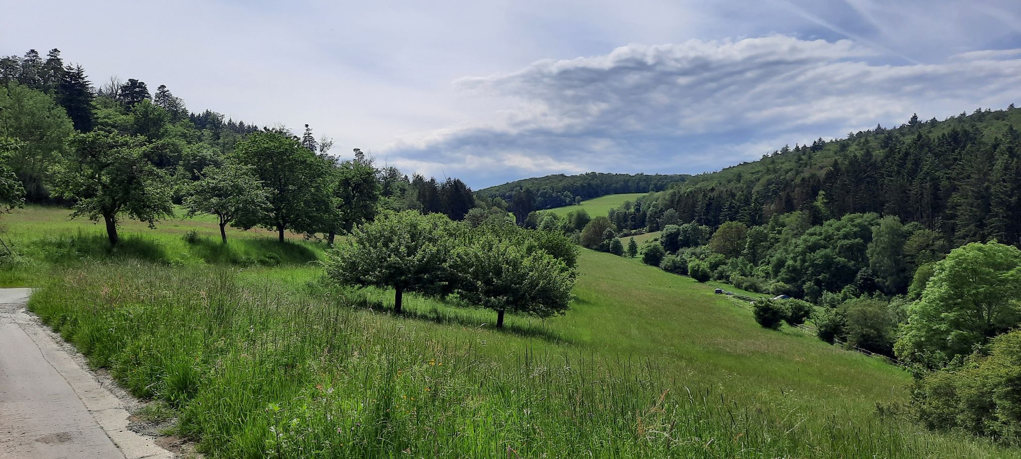 Im Gebiet "Schnepfenbach"