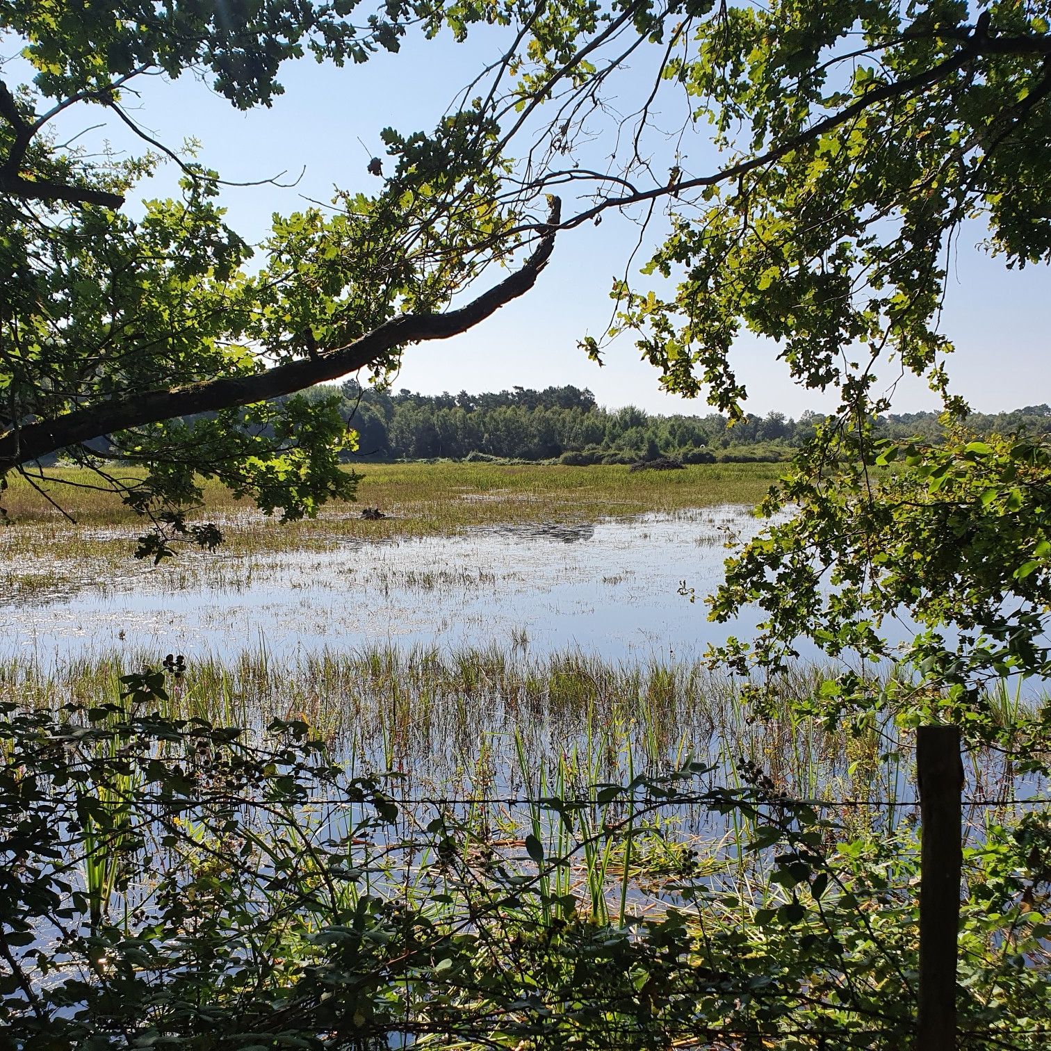 la brenne