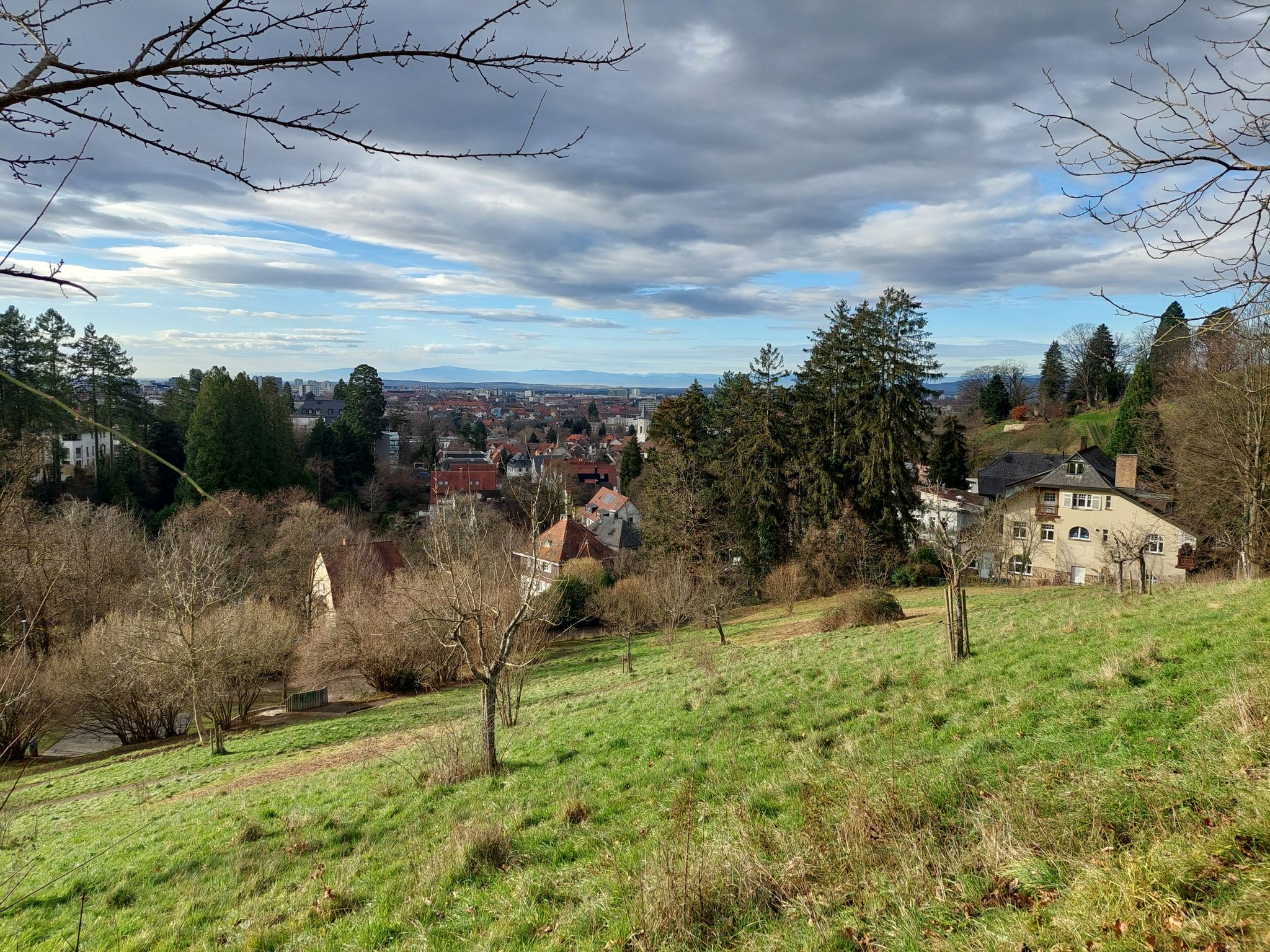 Eichhalde,  Blick Nordwesten, Vogesen im Hintergrund