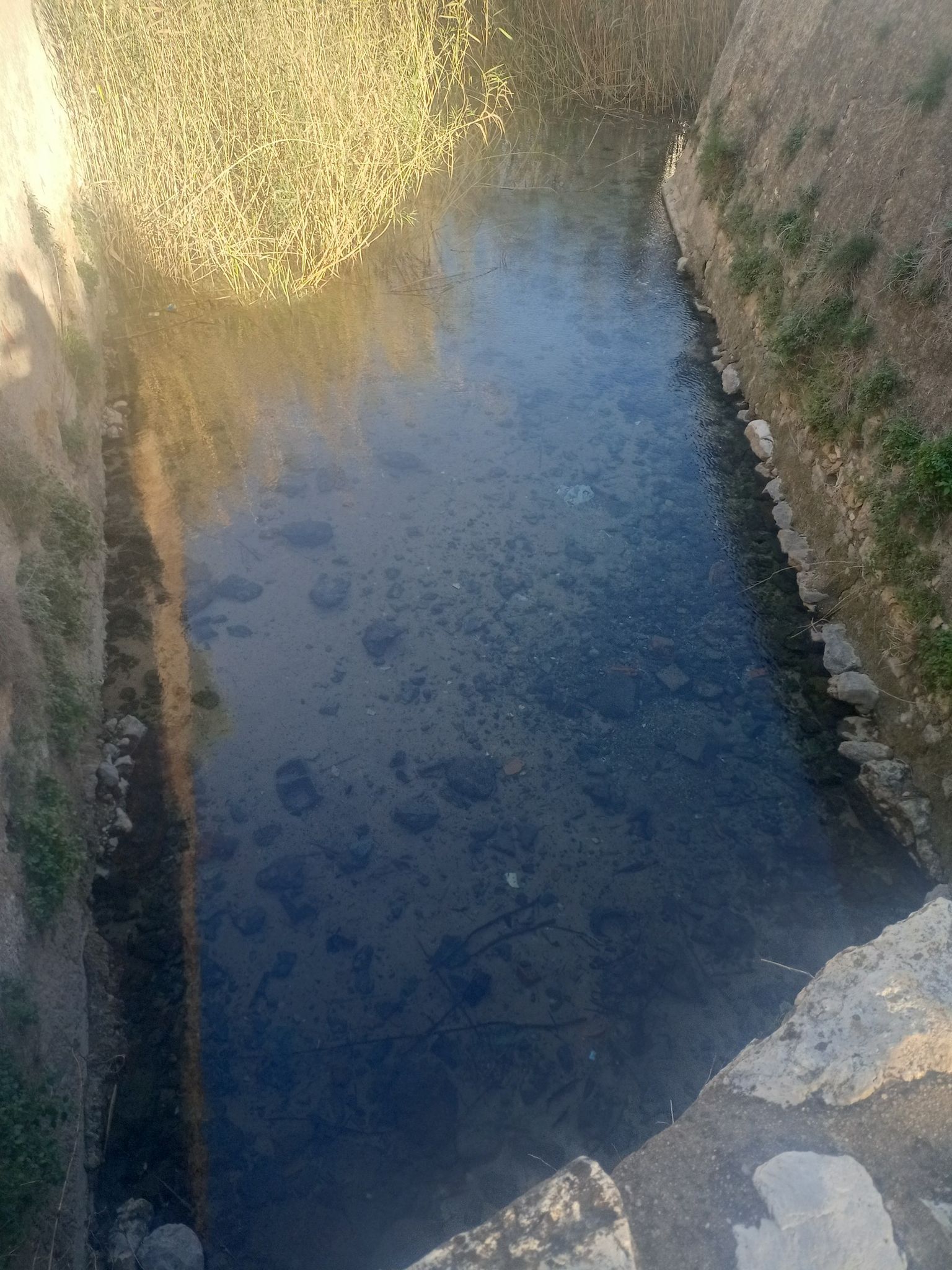 naiximent Riu Nou