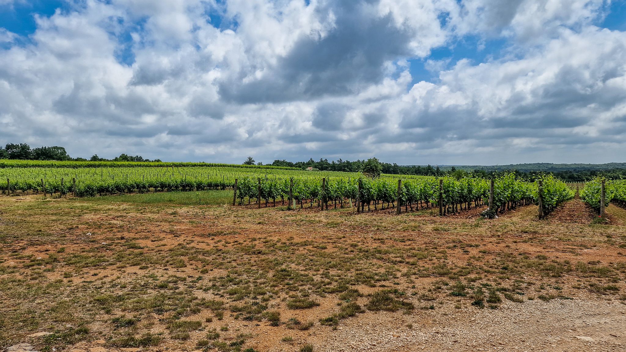 Weingut. Errichtet mit Unterstützung der EU.