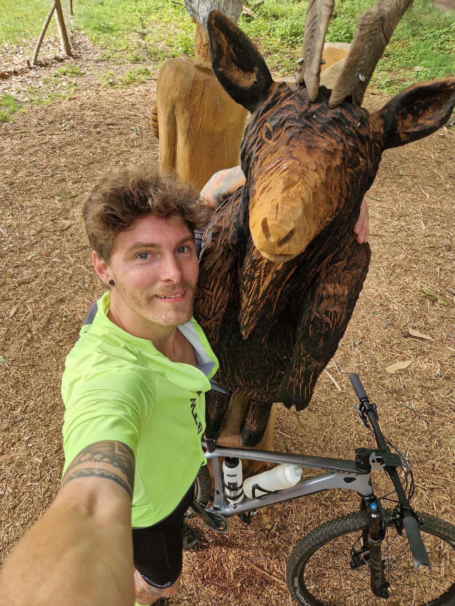 user avatar