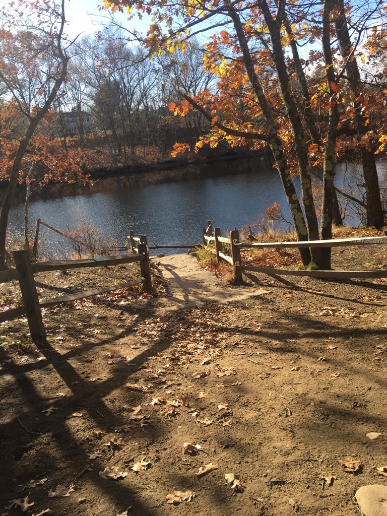 Dirt path leads to a wooden fence overlooking a sunlit river with autumn trees. - Weir Hill loop from North Andover