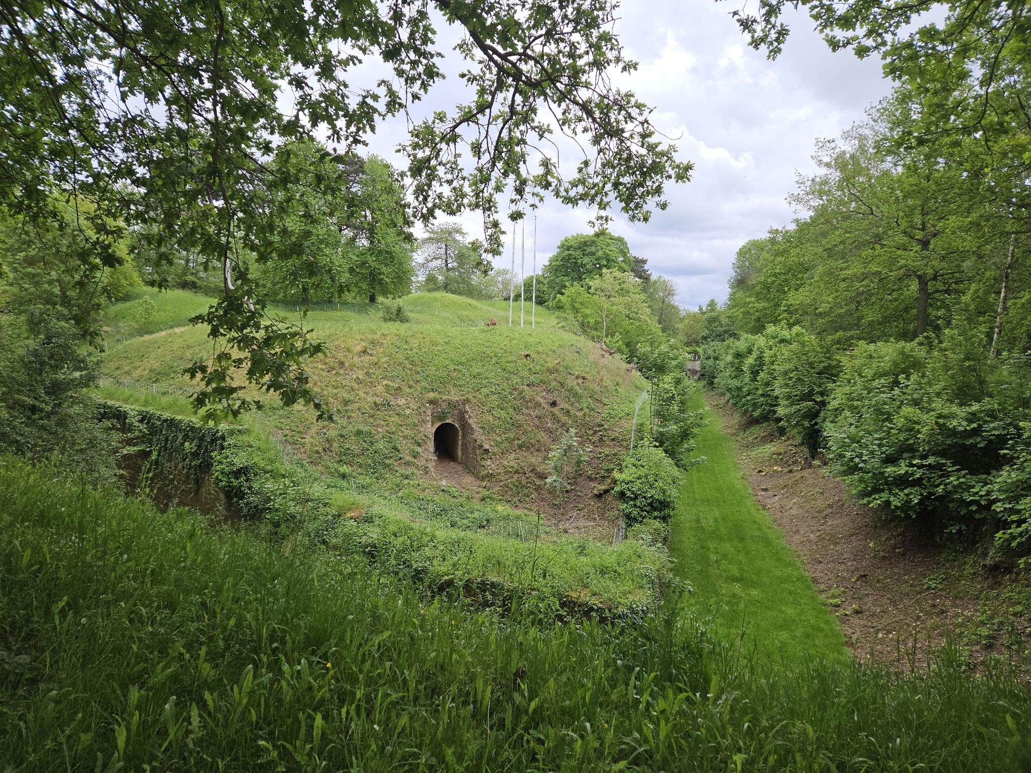 Ziegen