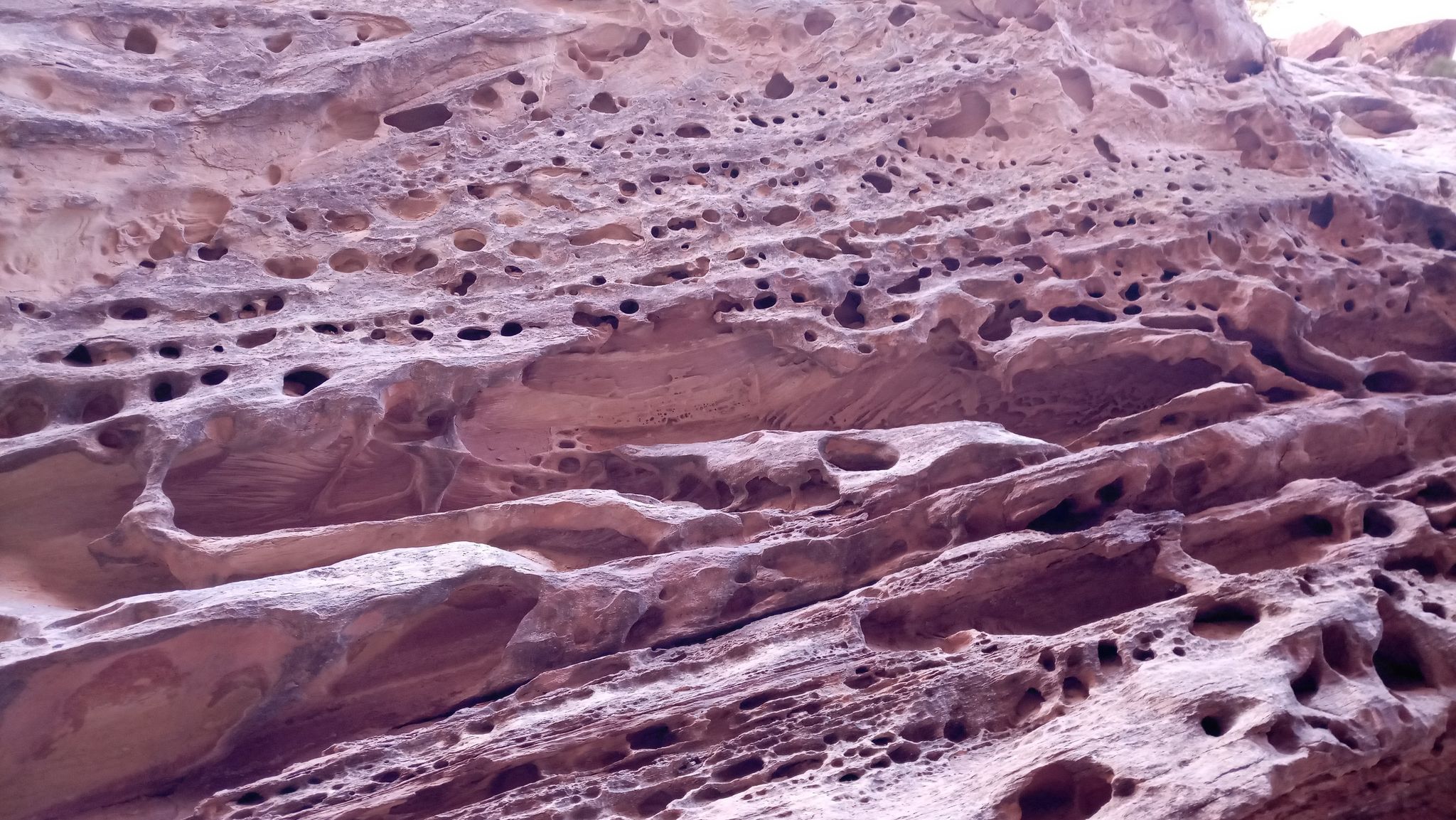 Close-up of a textured rock wall with numerous erosion holes and patterns. - Ding and Dang Canyons Loop