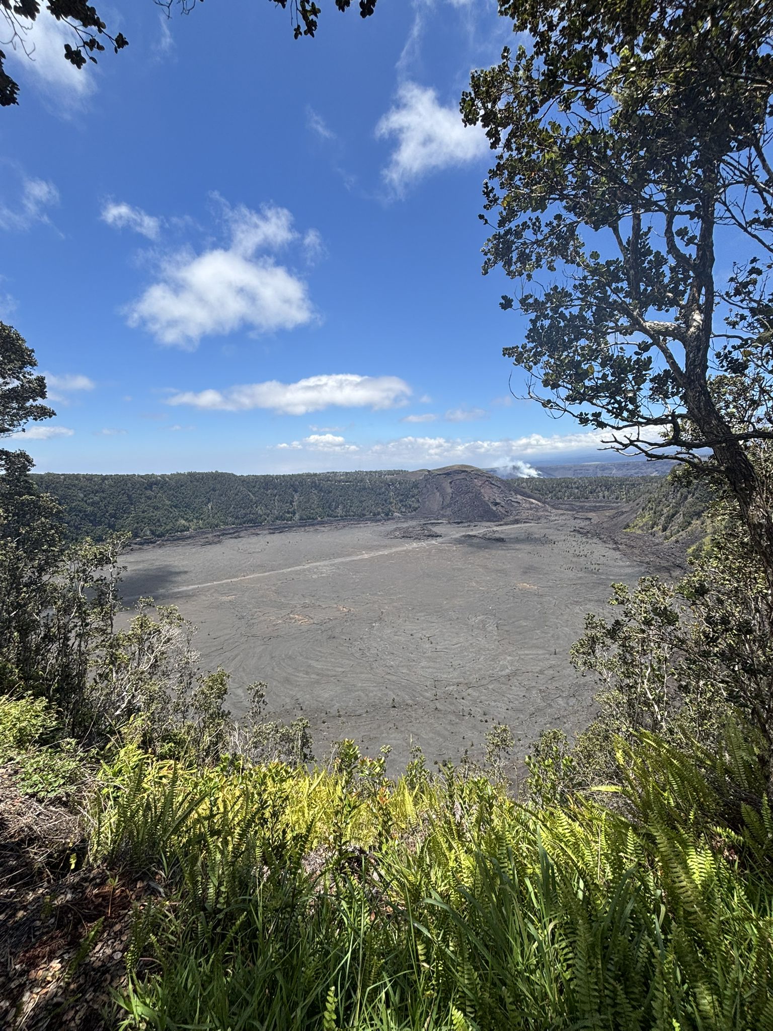 Sunny view of a dark volcanic plain and distant hills, framed by trees. - Crater Rim to Kīlauea Iki Overlook