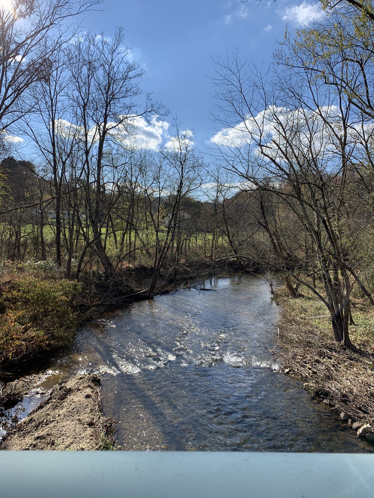 A clear stream flowing through a bare winter forest under a blue sky. - Howard Tunnel – Monkton Train Station loop from Glencoe