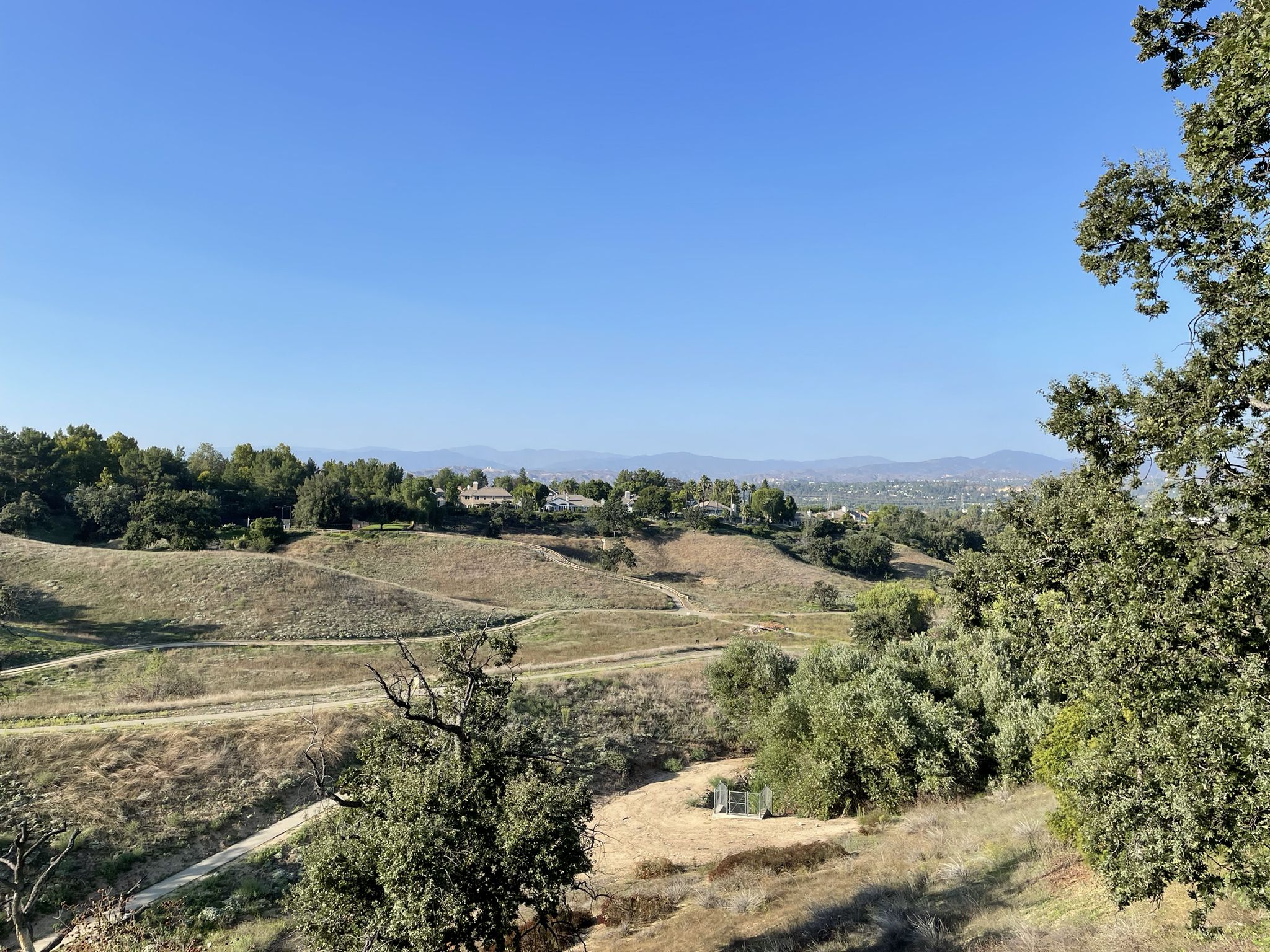 Sunny view of dry rolling hills with scattered trees under a clear sky. - Valencia Summit Park Loop
