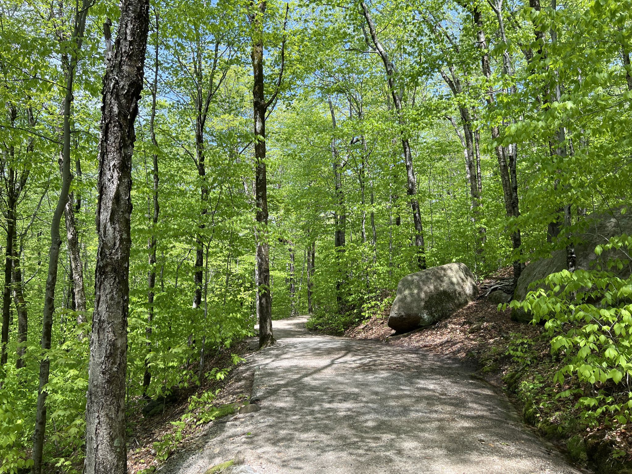 Sunny dirt path winding through a vibrant green forest with large boulders. - Flume Gorge Trail