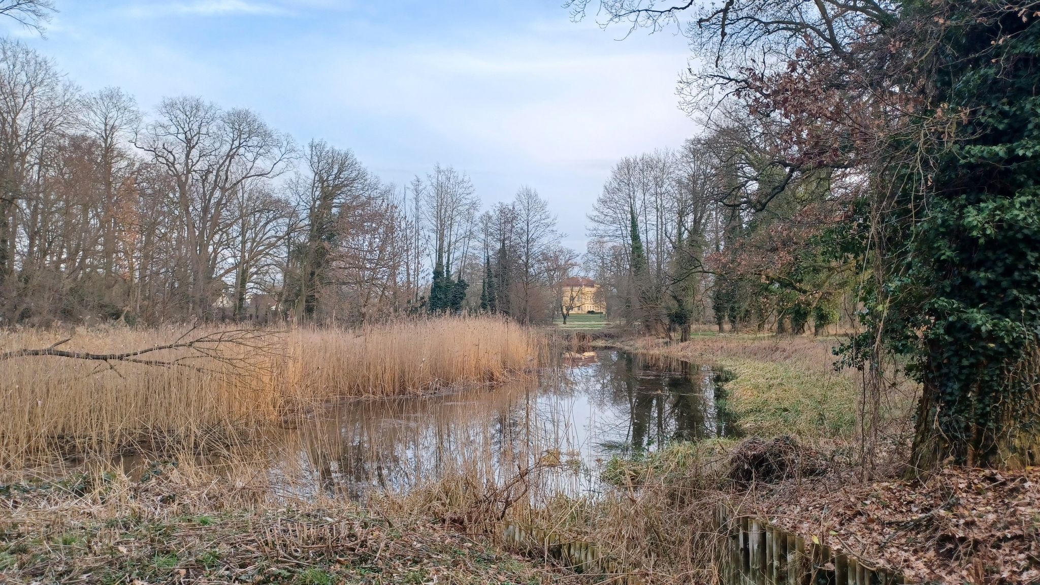 Blick zum Schloss