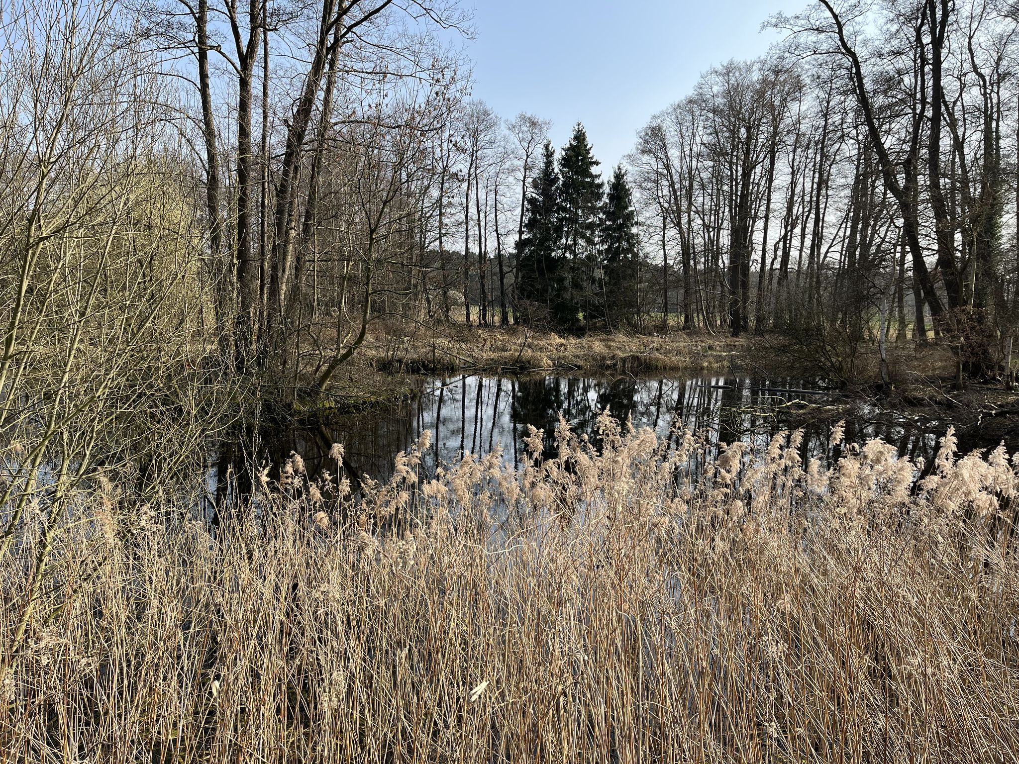 Mühlenteich bei Laderholz
